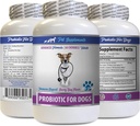 - PROBIOTICS suņiem - Veselīgi Gut - Apturēt gāzu caureju un sliktu elpu - Gremošanas Boost - Suņu probiotikas košļājamās Buddy - 1 pudele (60 Ārstniecības)