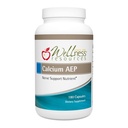 Wellness Resursi Kalcija AEP - nervu atbalsta papildinājums šūnu aizsardzība, ilgstoša, šūnu membrānu veselība, mielin Sheath atbalsts - 925mg Ca-2-AEP 180 kapsulas