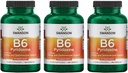 Swanson B6 Piridoxine - Vitamīnu papildterapija Sirds un asinsvadu veselības un enerģijas vielmaiņas veicināšanai - Dabiskā formula, kas veicina vispārējo labsajūtu - (250 kapsulas, 100mg katrs) 3 iepakojums