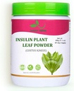 JAGGY insulīna augu lapu pulveris (Costus Igneus) 200g(7.1 oz) dabiskā insulīna augu pulveris (65 dienu piegādes)