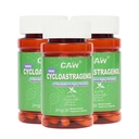 CAW Nano Cycloastragenol 98% 5mg 30 Caps; pretapaugļošanas telomere Plus; ne-GMO; Ražots ASV; Labāka absorbcija; Enteric-Coated Veģetārās kapsulas 3 pudeles