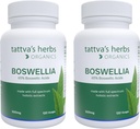 Tattva herbs Boswellia Serrata papildinājums, Boswellia ekstrakta kapsulas, locītavu atbalsta papildinājums, CO2 ekstrakts, Boswellia Complex Powder, 2-Pack, 240 Count, 500 mg - 25 gadus Premium Service