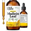 Savvaļas un bioloģiskie Mullein pilieni plūmēm - Lung Detox un tīrīt - Šķidrs Mullein Leaf Tincture ar Echinacea un lakricas saknes - Vegan, Cukurs un bezalkohola ekstrakta papildinājums - 2 fl oz