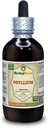 Psillijs (Plantago Ovata) Tinktūra, organiski žāvēts sēklu šķidrā ekstrakta ekstrakts (zīmuļa nosaukums: HerbalTerra, Proudly Made in USA) 4 fl.oz (120 ml)