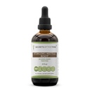 Slepens of the Tribe -Stinging Nattle Root Tincture Alcohol Extract, Stinging Nattle (Urtica Dioica) Sausā sakne 4 OZ