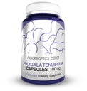Nootrops Depot Polygala tenuifolia Kapsulas - 100mg - 90 Grāfs - 20:1 Ekstrakts - Yuan Zhi - Veicināt kognitīvās funkcijas, mācīšanās un atmiņa - Supports Healthy Stress Līmeņi - Adaptogen Papildinājums