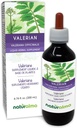 Naturalma Valerian (Valariana officinalis) Sakne Alkohola brīva Tinktūra - 6.76 fl oz Šķidrais ekstrakts pilienos - Augu Papildinājums - Vegan