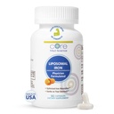Galvenais Med Zinātne Liposomālās Dzelzs Papildinājums sievietēm un vīriešiem, 65mg (90 Kapsulas) - Dzelzs Absorbcija Vitamīnu aizsargplēves grūtniecības laikā - Viegli norīt un maiga uz kuņģa - bez piena
