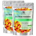 BIO VITALICA Sea Moss Gummies – ar Bladderwrack & Burdock Root – Wildcrafted Gel + Powder – Vegan, Keto, Non-GMO, Gluten-Free – Fruity Mineral-Rich Gumies – 50 Count (2 Paka)
