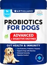 Probiotikas suņiem - Atbalsts Gut Veselība, Niezoša āda, Alerģijas, Immunitāte, Rauga līdzsvars - suņu probiotikas un gremošanas enzīmi - 30 Sticks