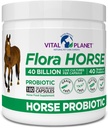 Vitālā planēta - Flora Zirgu probiotika, augstas potences Equine probiotikas ar prebiotikām, 40 miljardi Dzīvo KVV no multipliem celmiem, gremošanas un imūnās sistēmas, 180 Aizkavētas atbrīvošanas kapsulas (180 dienas)