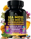 Sea Moss Capsules – 17-in-1 Blend with Black Seed Oil Ashwagandha Bladderwrack Burdock Saknes Turmeric vitamīns D3 K2 C ikdienas labsajūtai – Multiminerāls papildinājums vīriešiem un sievietēm – 120 grāfs