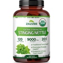 Zazee USDA Organic Stinging Nattle 20:1 ekstrakts, 9000 mg Stiprums, 120 Vegan Capsules, 4 Month Supply, Koncentrēts, Standartizēts 20X ekstrakts, Sertificēts Organic, 100% Veģetārs, All-Natural, Non-GMO