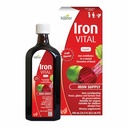 Hübner Hubner Iron Vital Liquid Iron Supply Plus C vitamīns, uztura bagātinātājs pieaugušajiem un bērniem, Vegan un bez lipekļa, augļu uzlējums, 500 ml pudele, 50 pasniedzieni