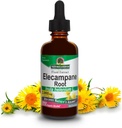 Dabas atbilde Elecampane Root 2 oz. Low Organic Alkohols 2000mg - augu izcelsmes papildinājums - neĢMO & Kosher - bez zema alkohola