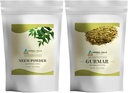 HERBAL HILLS Neem Leaf pulveris un Gurmar pulveris Gymnema Sylvestre iepakojums ar 2 Combo