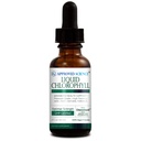 Apstiprināts Science Liquid Chlorophyll - 2 fl. Oz. - 60 mg ChloroAbsorb - Mulberry Leaf Extract - Energie The Body - Gremošanas un imūnās sistēmas atbalsts - Dabiskais dezodorants un detokss - Vegan - Ražots ASV