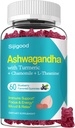 Ashwagandha Gummies, atbalsts immunity, relaksācija, Ashwagandha papildinājumi vīriešiem un sievietēm, dabas melleņu Flavor, 60 grāfs