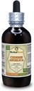 Angelica Chinese (Angelica Sinensis) Tincture, Organic Kaltētas Saknes šķidruma ekstrakts (zīmuļa nosaukums: HerbalTerra, Proudly Made in USA) 4 fl.oz (120 ml)