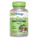 SOLARAY Hawthorn Berry Capsules 1050 mg - Nomierinošas augu valsts atbalsts - Hawthorne Berry Papildinājums vispārējam labsajūtas atbalstam - Viss berry, Vegan, ne-GMO, 60 dienu garantija, 90 Servējumi, 180 VegCaps