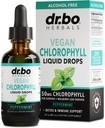 Hlorofila šķidrs pilieni ķermeņa Detox - Vegan Liquid Hlorofila pilieni Odor Cleanse papildinājums, enerģija un Imūnsupport, iekšējais dezodorants, ķermeņa dezodorēšanas papildinājums - dabas dezodorants ūdens 2oz