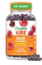 Dzelzs papildinājumi bērniem 10 mg ar vitamīnu C   ; Great Tasting dzelzs Gummies bērniem ; Vegan Non ĢMO Kids Iron 