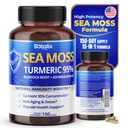 Sotalix Sea Moss Kapsulas ar Ashwagandha, Dagka saknes, Bladderwrack, Turmeric - Jaudīgs Dabas Immunity Booster - ASV Ražots (150 Grāfs (1. iepakojumā))