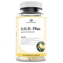Dabas atjaunošana S.O.D. Superoxide Dismutase papildinājums, 4000 SV SOD-Like aktivitāte, Vegan, 90 kapsulas, ne-GMO, bez lipekļa