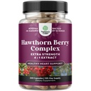 Augsta stipruma Hawthorn Berry Capsules - Pure Antioksidants Hawthorn Berry Papildinājums ar lapu un ziedu ekstraktu 4:1 Veselīgai sirdij un Gremošanu - Enerģijas atbalsts vīriešiem un sievietēm - 240 Count Pack