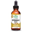 Botanic Spa Astragalus Root Liquid Extract, 1 Fluid Ounce