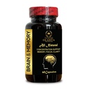 Brain Memory Support - Support Concentration, Energy & Clarity, Brain Booster Supplement for Support Focus, Memory, Clarity, Energy - 1 Bottle 60 Capsules