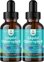 Uzliesmojoši hlorofila šķidrie pilieni - Vegan Liquid hlorofila pilieni imūnās sistēmas atbalstam Gut Health Ādas kopšanas Detox Aknu atbalsta enerģija un slikta elpa - augstas iedarbības iekšējais dezodorators - 2 iepakojums