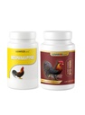 Recovery B15 + B12 Tablets for Poultry – Nutritional Vitamin Supplement for Chickens and Roosters – Supports Energy and Vitality – B12 10.000 200 Tablets for Birds