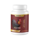 Vitamin B12 10,000 Tblets for Poultry – 200 Count – Nutritional Supplement for Chickens and Farm Birds