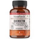 Vaastavik Pure Best Bioactive Quercetin Sophora Japonica Plant Based Supplement Capsules Extract 500mg
