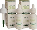 Hlorogleklis Šķidrais hlorofils Skābeklis Nokrīt 3000mg - Metabolisma Papildinājums - Imūnsupport -- Natural Detox --Altitude Slimības Atbalsts -- Ķermeņa dezodorators 30ml (Iepakojums no 2)
