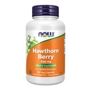 NOW pārtikas piedevas, Hawthorn Berry 540 mg, Free Radical Scavenger*, augu papildinājums, 100 Veg kapsulas