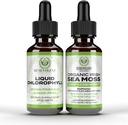 Benevolent hlorofila šķidruma pilieni + Irish Sea Moss Drops 2oz, 4 Mēnešu apgādes Šķidrā hlorofila papildinājums iekšējam dezodoratoram un radiējošai ādai