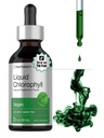 Horbäach Liquid Chlorophyll pilieni - 2 un Vegāns, ne-GMO, un lipekļa bezmaksas formula - Dabīgs piparmētru Flavor