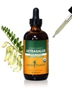 Herb Pharm Certified Organic Astragalus Liquid Extract for Imūnsistēmas atbalstam - 4 Ounce