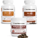 Reālas Sēnes Reiši & Cordyceps for Humans & Mushroom Pet Relax Chews - Bandle for Relaxation, Energy & Immunity - Vegan, Non-GMO, Gluten-free, Grain-free Sēņu ekstrakta piedevas