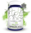 Nootrops Depot Magtein Magnija L-Threonate Kapsulas 90 Skaits 