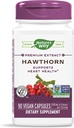 Hawthorn Standardized Extract - 90 - Kapsulas