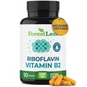 ForestLeaf vitamīns B2 Riboflavin 400mg - Enerģija, āda un šūnas Veselības Papildinājums - Nervu sistēmas atbalsts - B vitamīns 2 VIT B - Bez GMO un lipekļa - B2 vitamīns 400mg Dārzeņu kapsulas, 90 Skaits