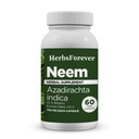 Herbsforever Neem Kapsulas Azadirachta Indica Ādas papildinājums 60 Vege kapsulas
