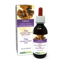 Naturalma Chaga (Inonotus obliquus) Sēnītes vai sēnes bez alkohola Tincture - 4 fl oz Šķidrais ekstrakts pilienos - augu papildinājums - Vegan
