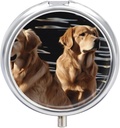 Pill Box 3 iecirknis Round Pill organizētājs Ikdienas mazās tabletes Case Travel Golden Retrievers Metāla Pill konteineru Portable Medicine Organizators Pill Vitamīniem Zivju eļļa Papildinājums