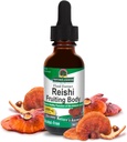 Dabas atbilde Alkohola-free Reishi ekstrakts Augļķermenis, 1-Fluid Ounce Šķidrais ekstrakts Imūnsistēmas Builder