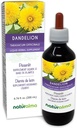 Naturalma Dandelion (Taraxacum officinale) Sakne un augs Alkohola beztinktūra - 6.76 fl oz Šķidrais ekstrakts pilienos - Augu Papildinājums - Vegan