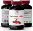 ogu papildinājums - HAWTHORN BERRIES EXTRACT - antioksidantu papildinājums sievietēm, antioksidantu ogas, antioksidantu ogu maisījums, hawthorn ogu antioksidants, savvaļas ogu enerģija Hawthorn enerģija 1Bot 60Caps